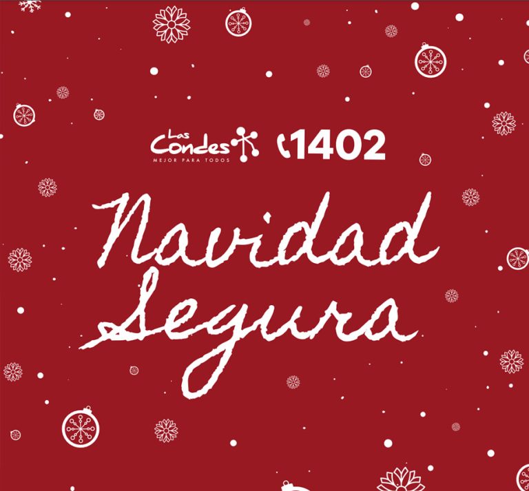 Consejos para una Navidad Segura