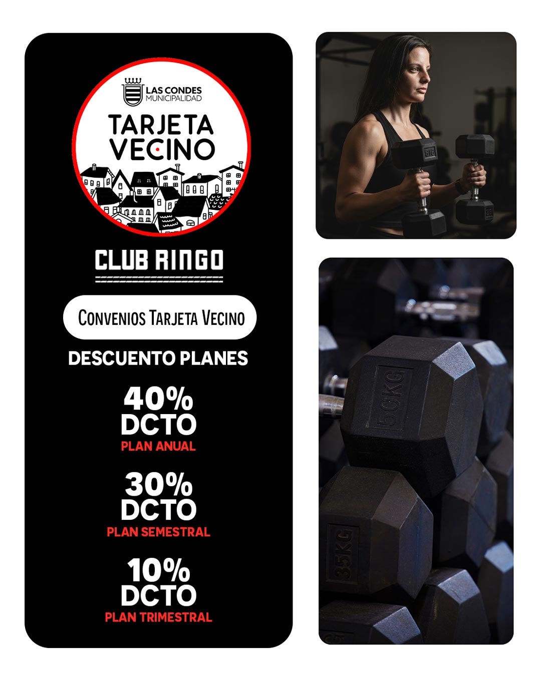 CLUB-RINGO-01-10-2025-FEED-Aedit