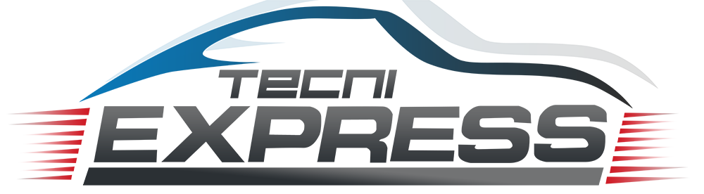 TECNIEXPRESS LOGO