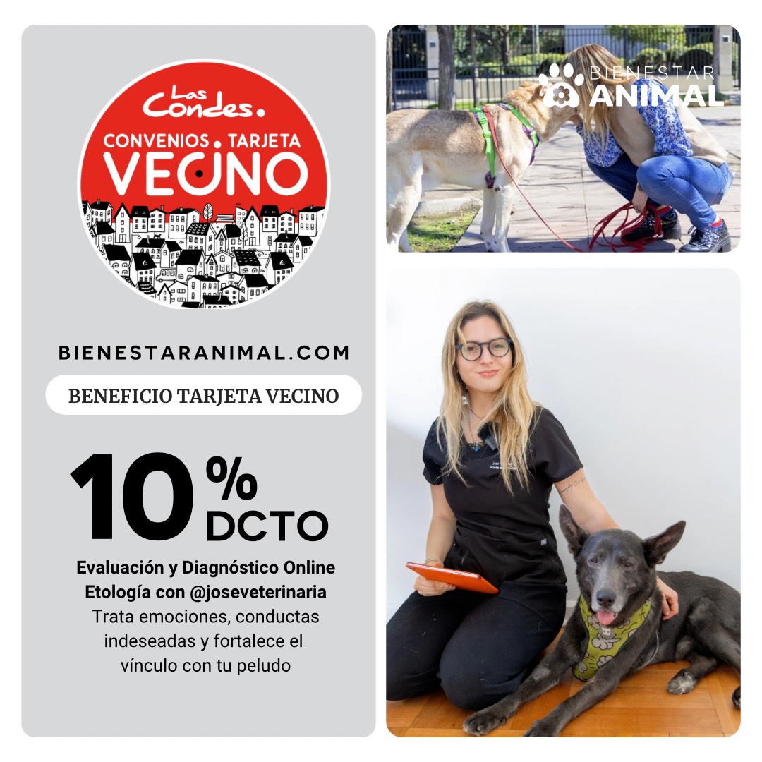 BIENESTAR ANIMAL 27-01-2025 FEED A