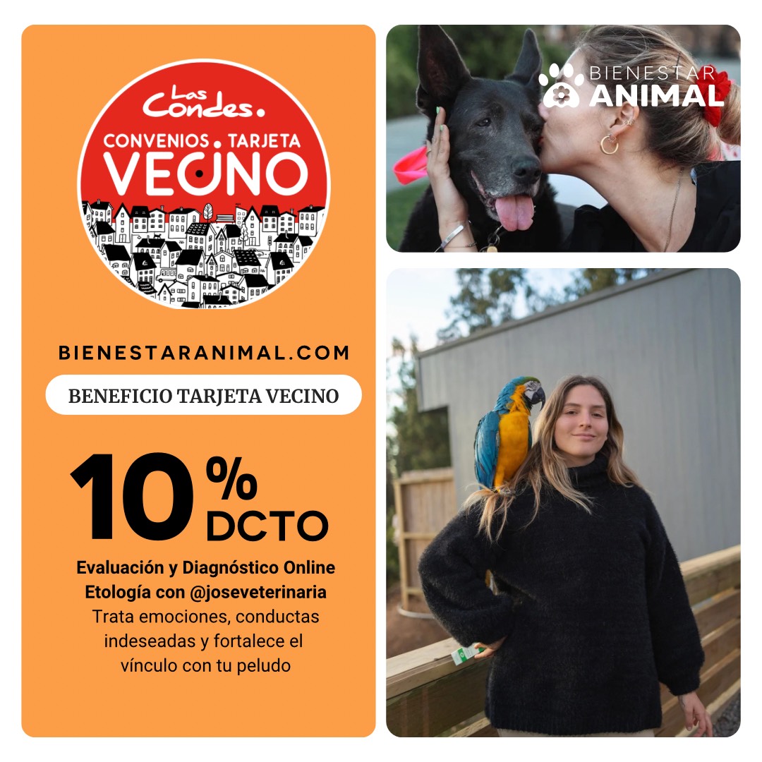 BIENESTAR ANIMAL 27-01-2025 FEED B