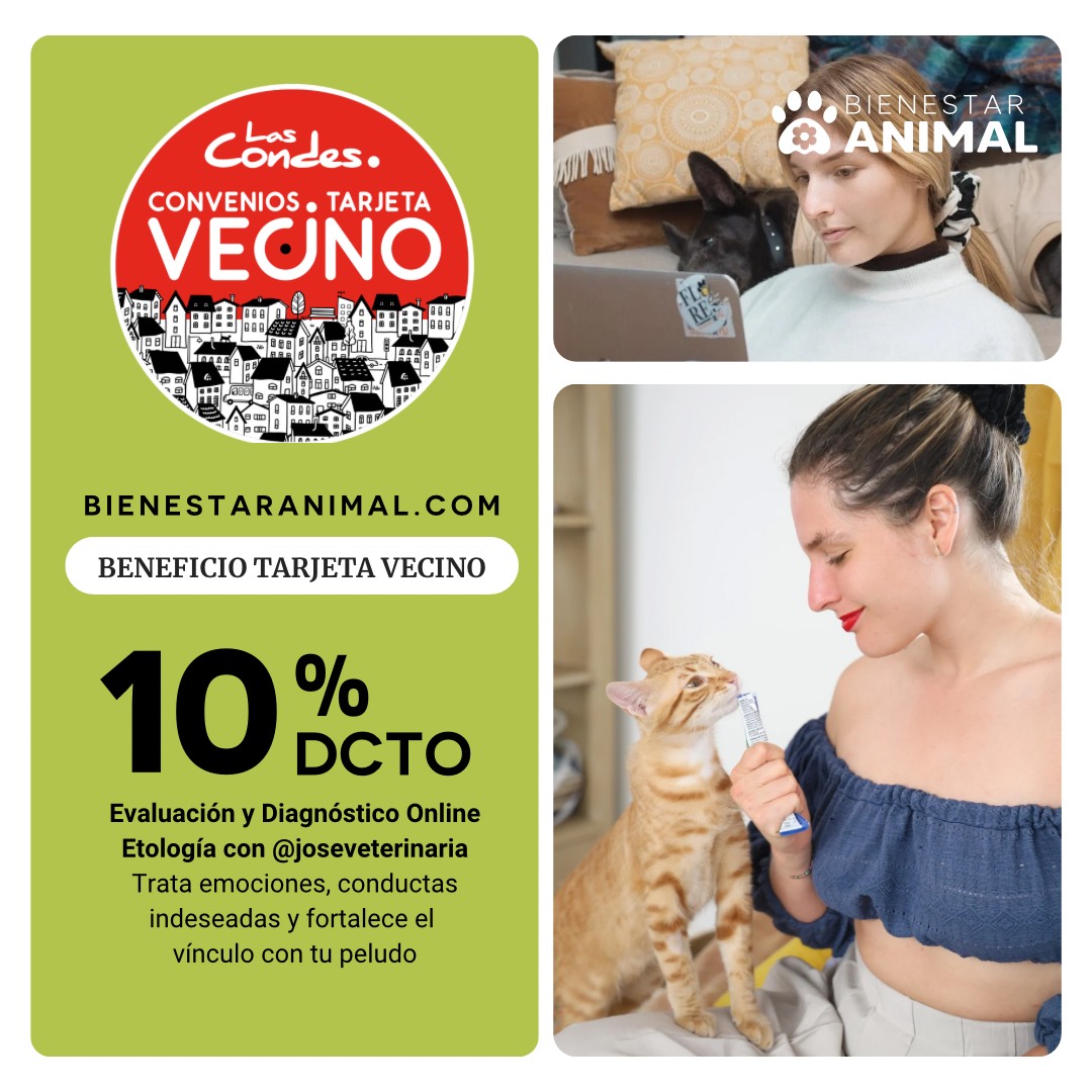 BIENESTAR ANIMAL 27-01-2025 FEED C