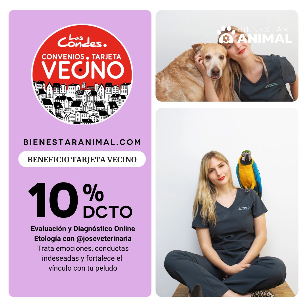 BIENESTAR ANIMAL 27-01-2025 FEED D