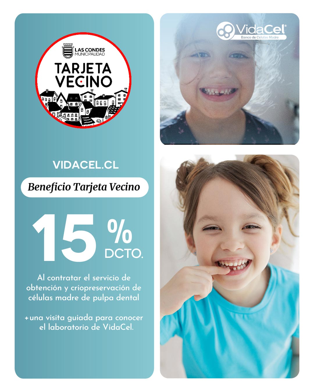 VIDACEL-09-04-2025-FEED-Aedit