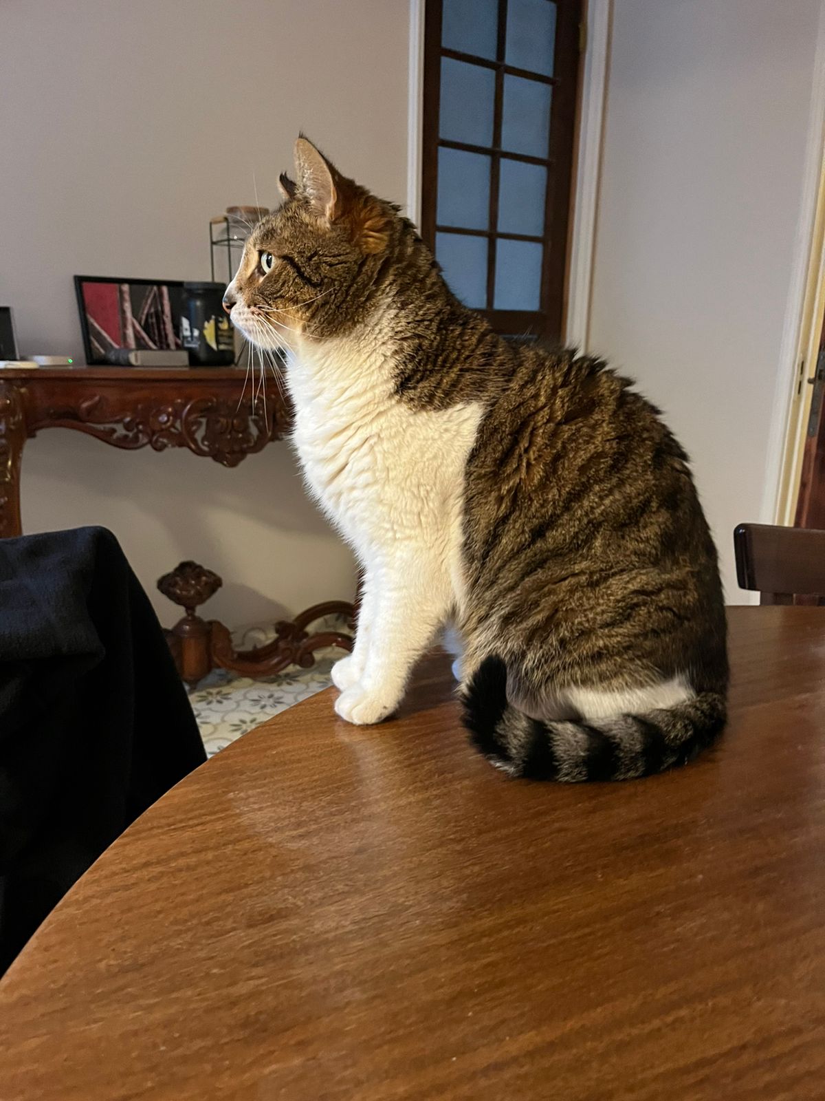 Scali