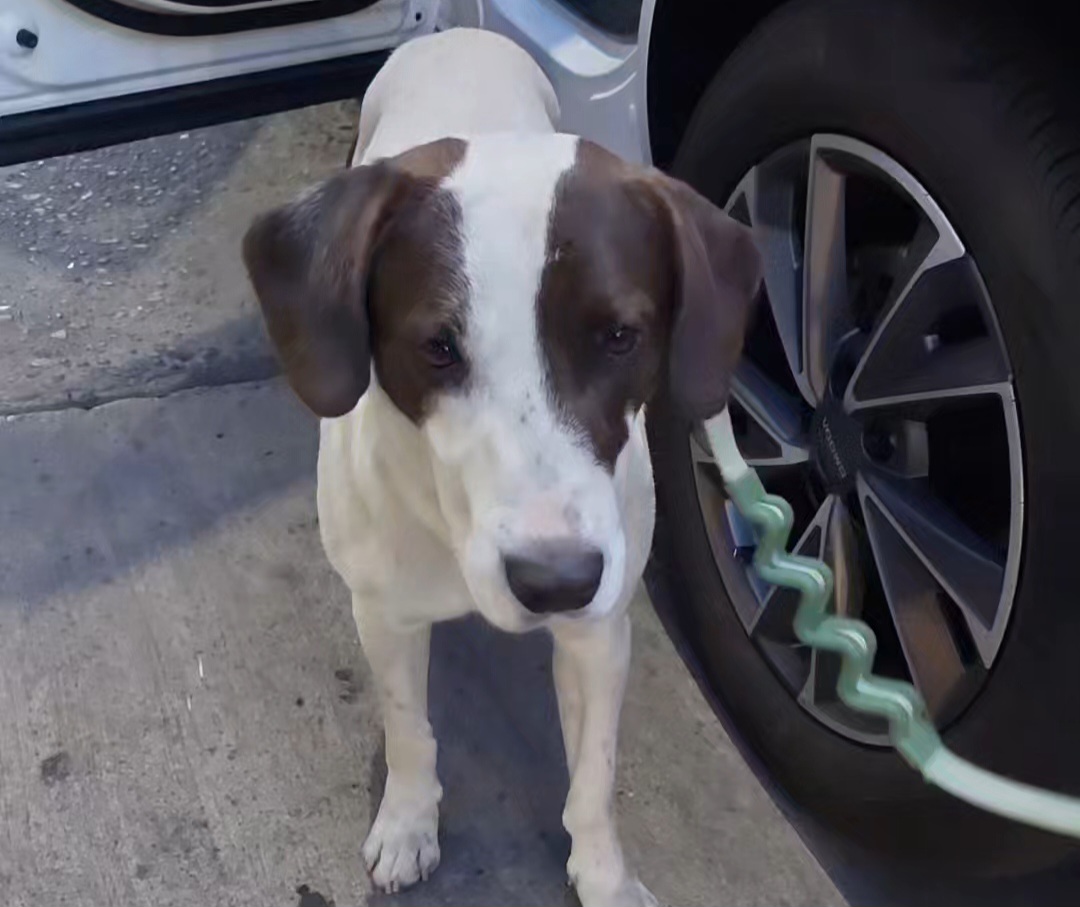 manchas nombre temporal