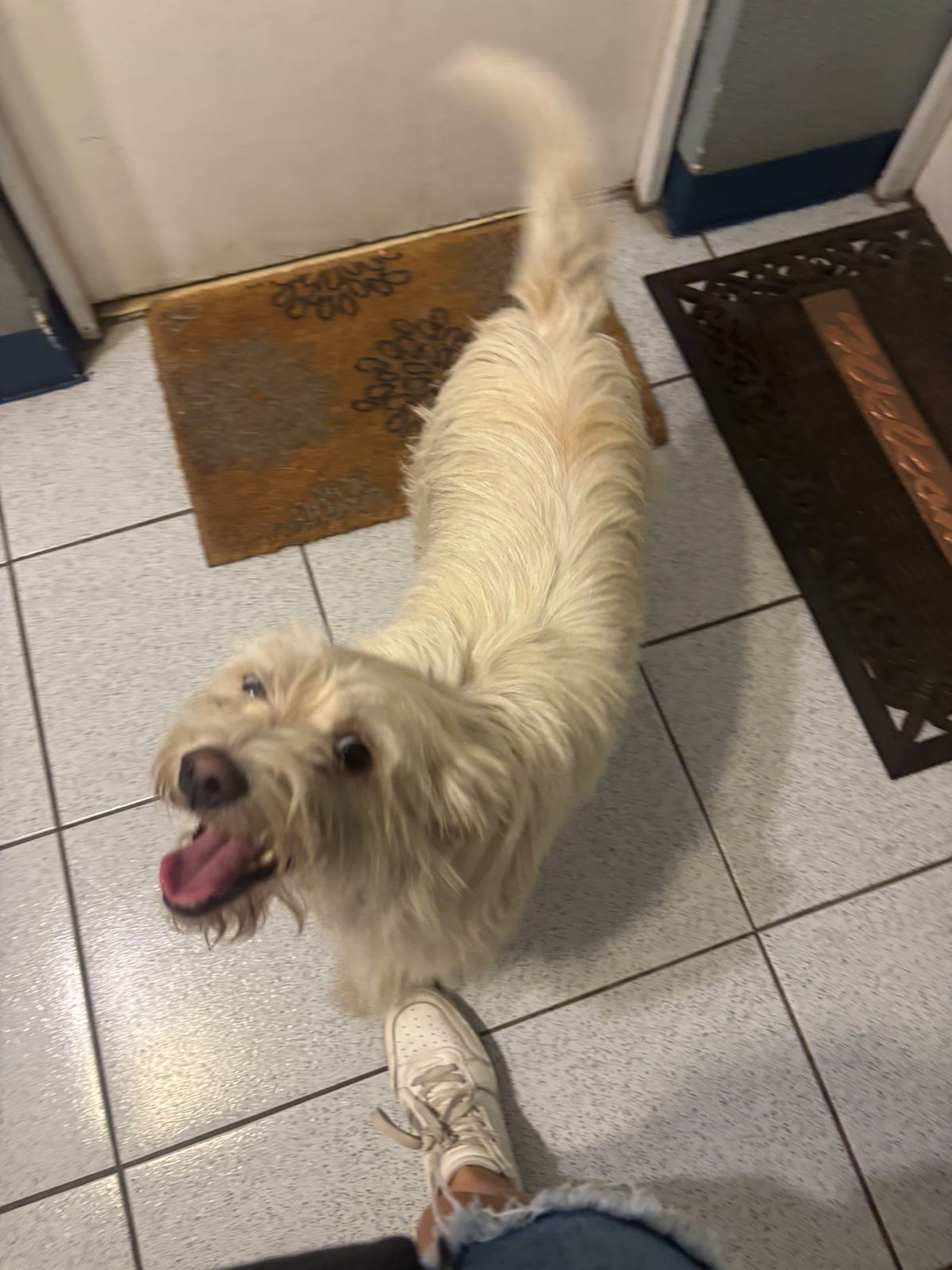 No se sabe su nombre