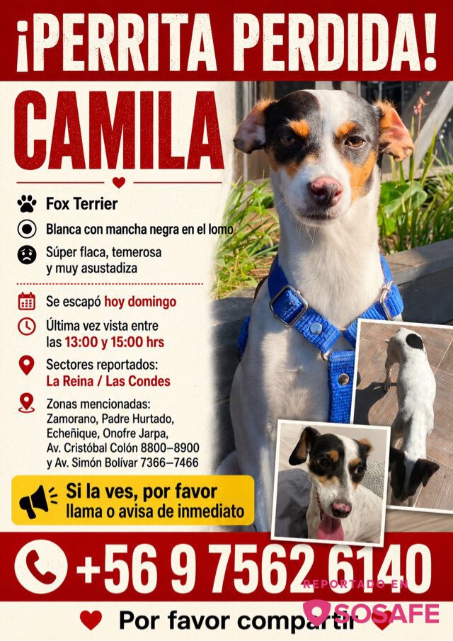Camila