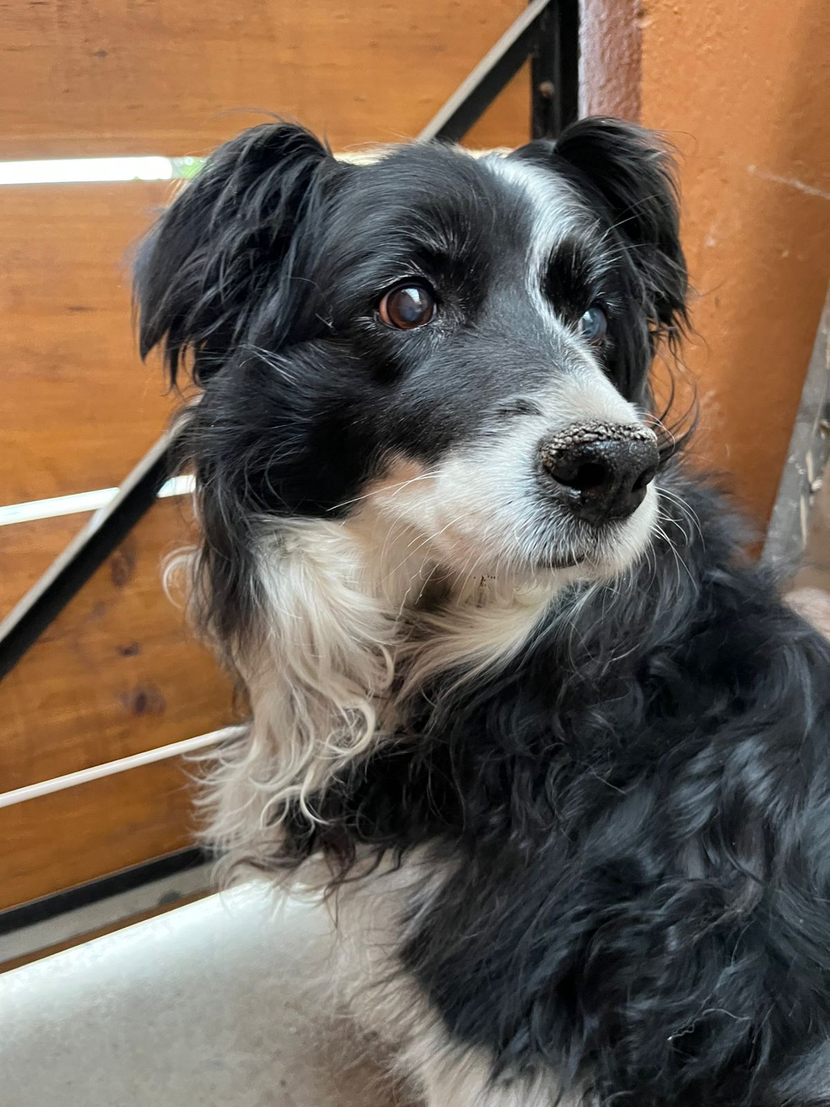 Desconocido