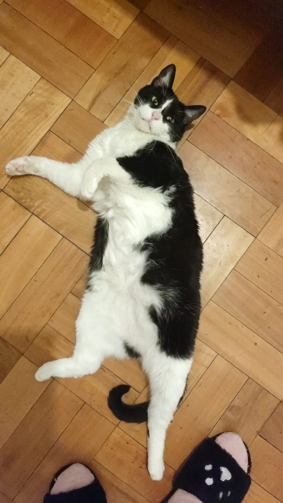 Luna 