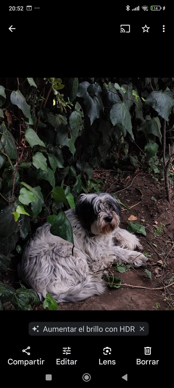 Kila