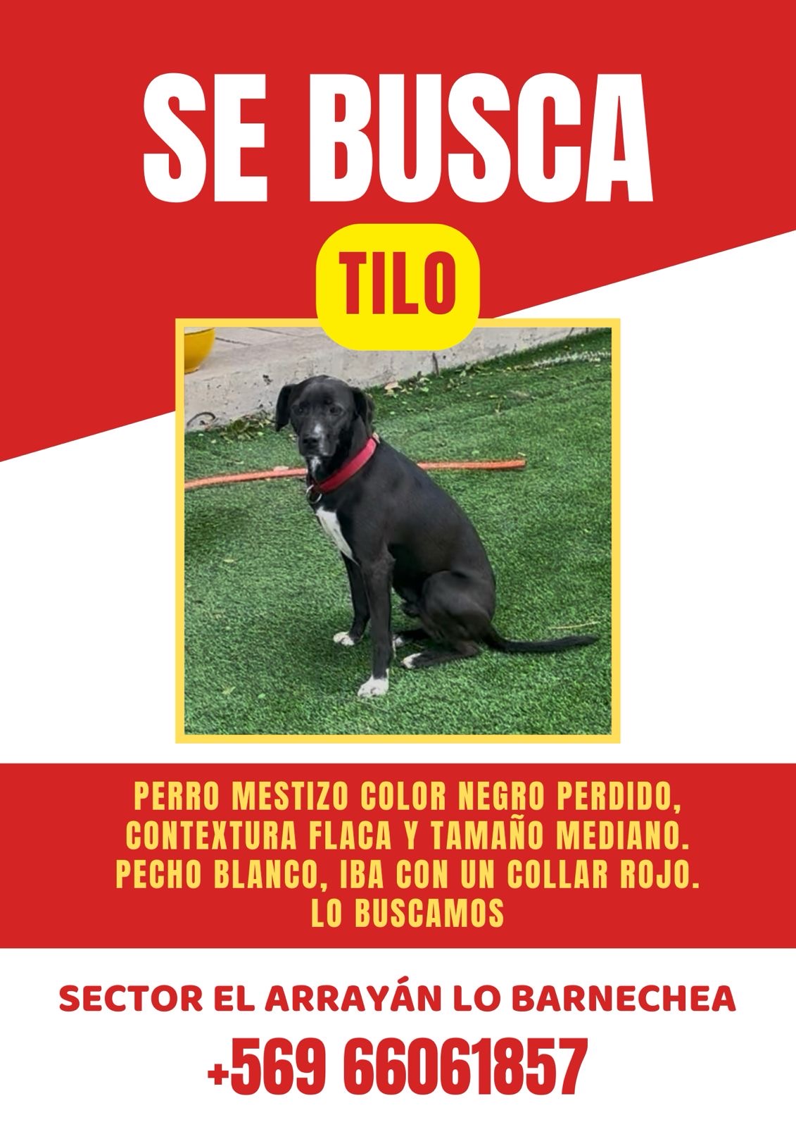 Tilo