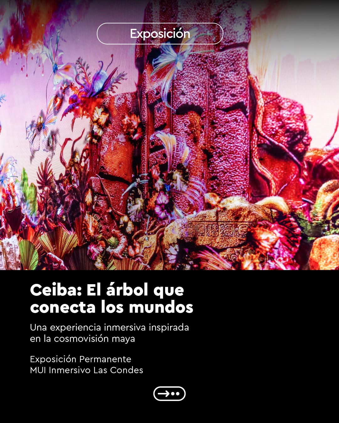CCLASCONDES-03-09-2026-CEIBA-FEED