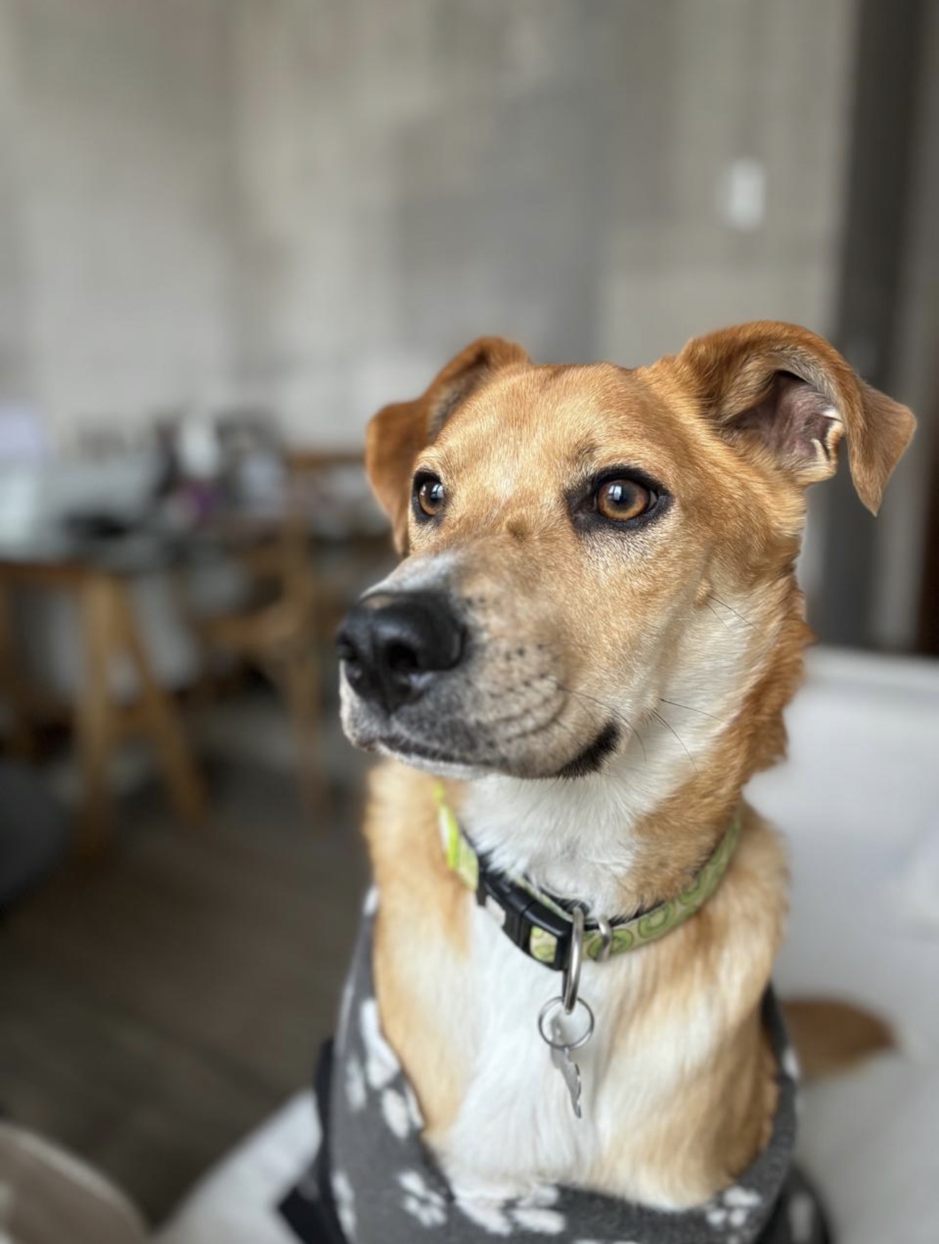 Carlos