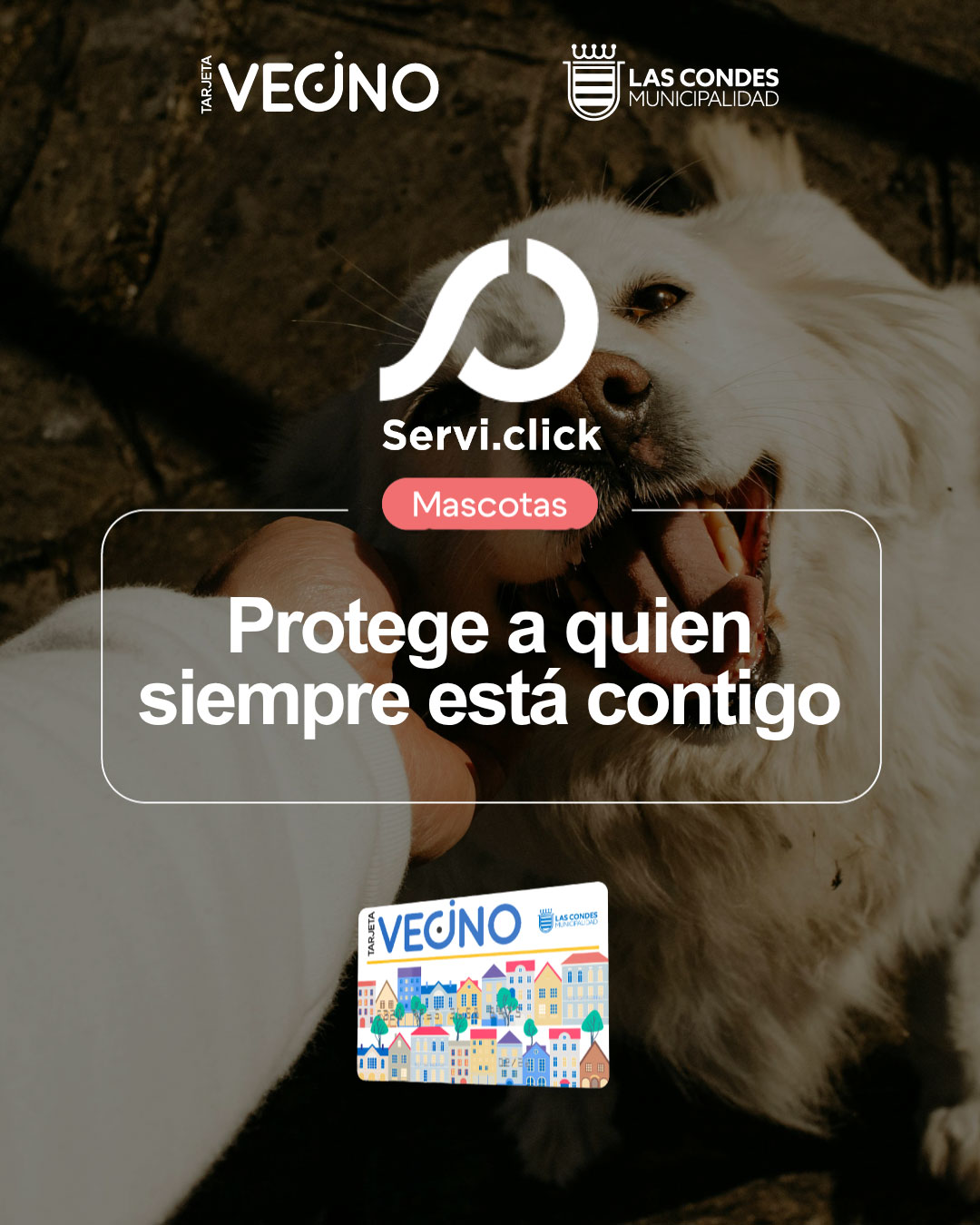 SERVICLICK-27-08-2026-FEED-Aedit