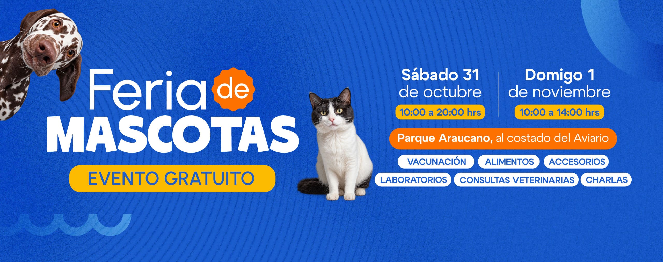 Inscripciones consultas