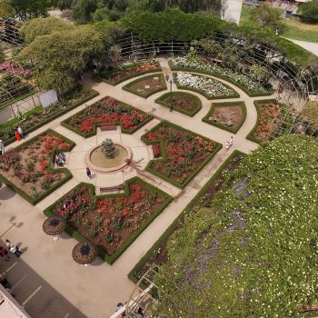 Rosal Parque Araucano